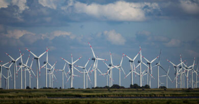 Kopfschmerzen, Angst, Schlafprobleme – Sind Windräder schuld?